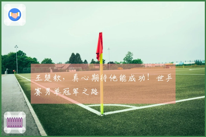 王楚钦，真心期待他能成功！世乒赛男单冠军之路